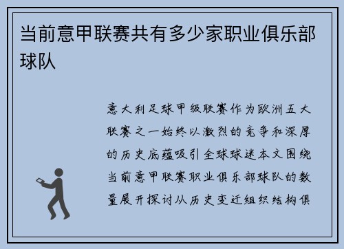 当前意甲联赛共有多少家职业俱乐部球队