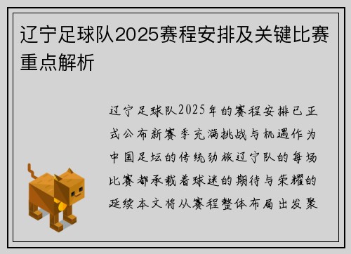 辽宁足球队2025赛程安排及关键比赛重点解析